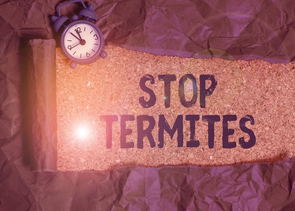stop termites