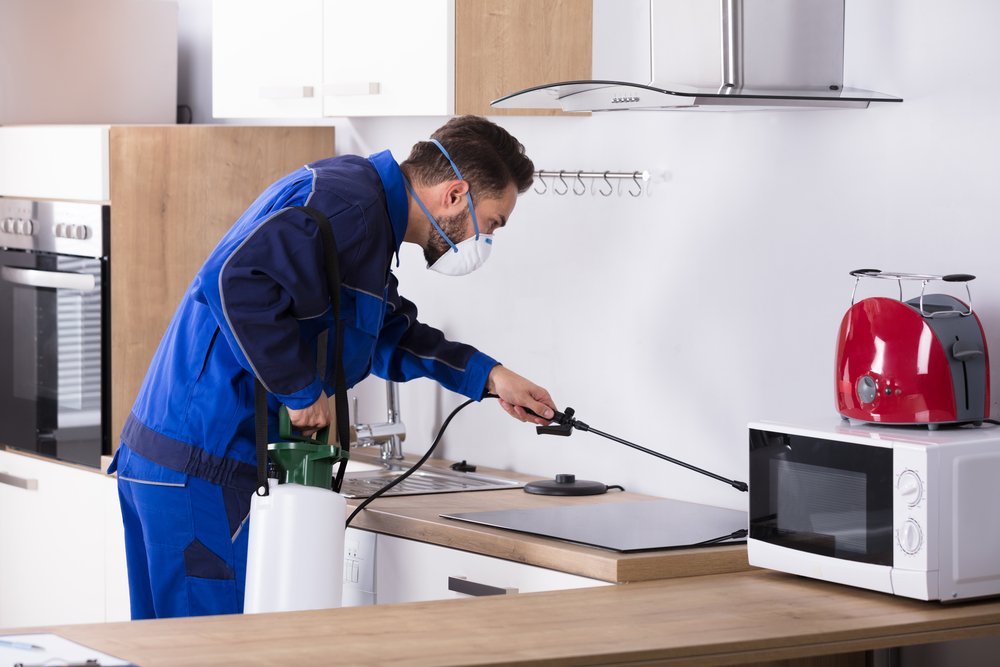 man spraying for bugs in a kitchen