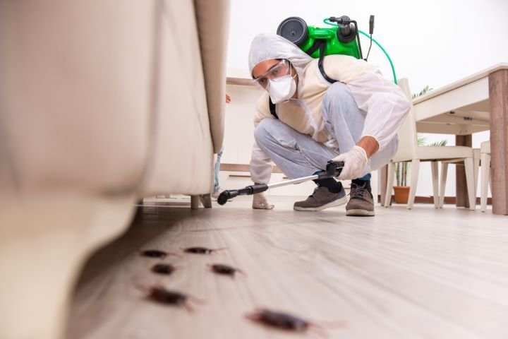 man spraying for insects