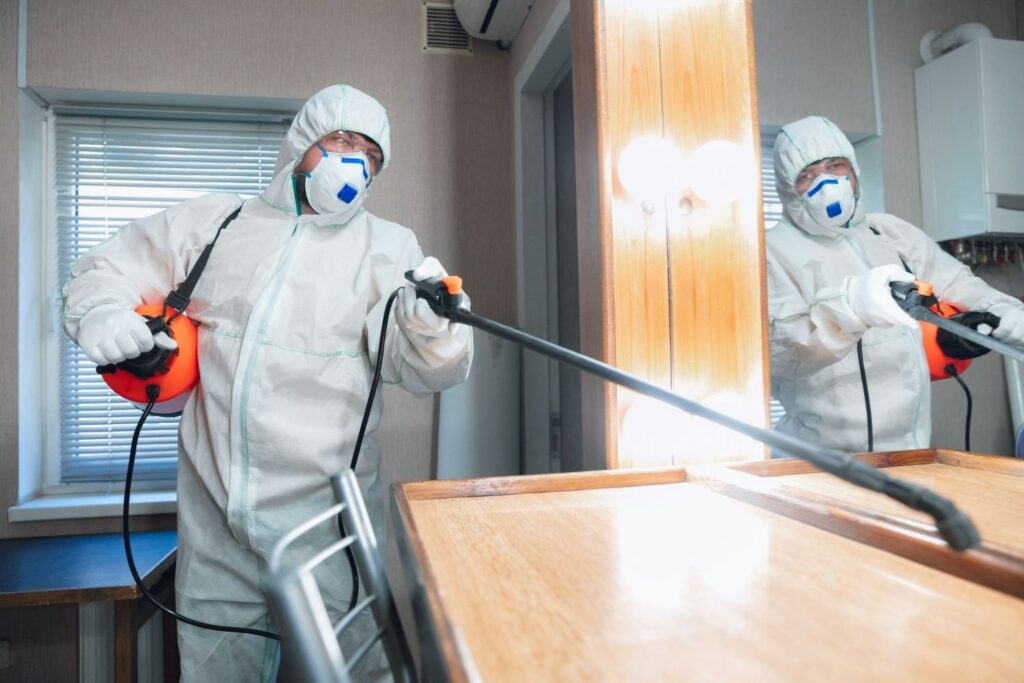 man spraying for bugs in a room