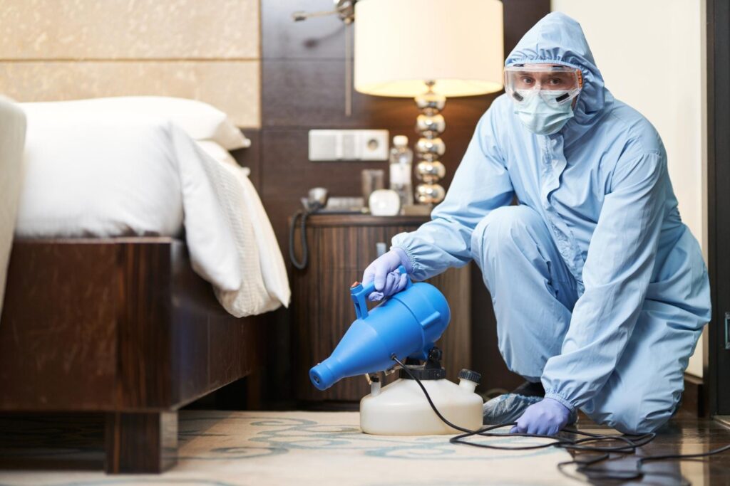 spraying for bed bugs