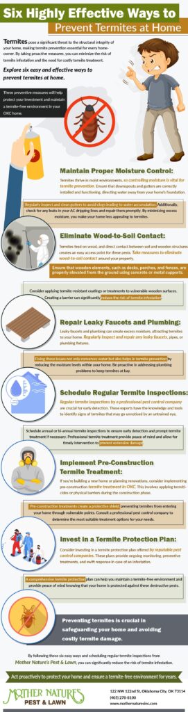 six highly effective ways to prevent termites at home