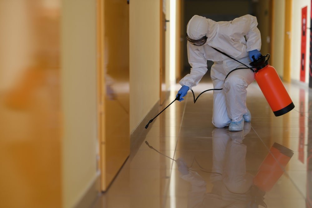 person spraying a hallway to pests