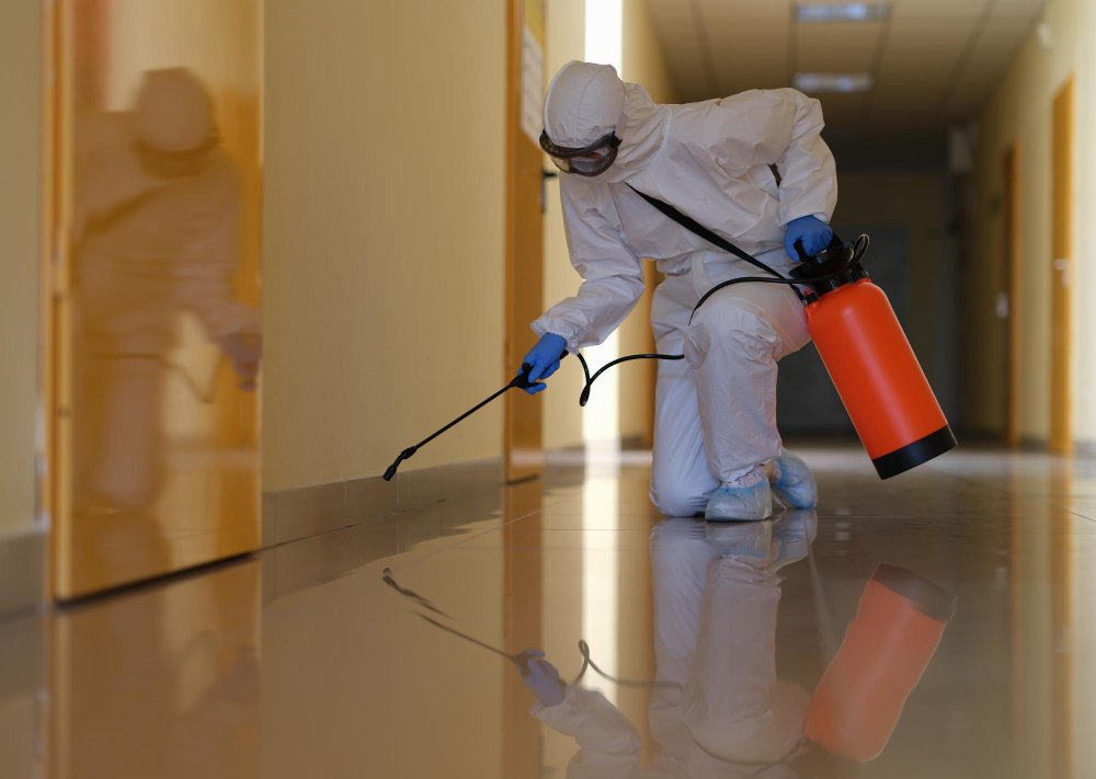 a person spraying a hallway for bugs