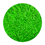 Lawn+Care