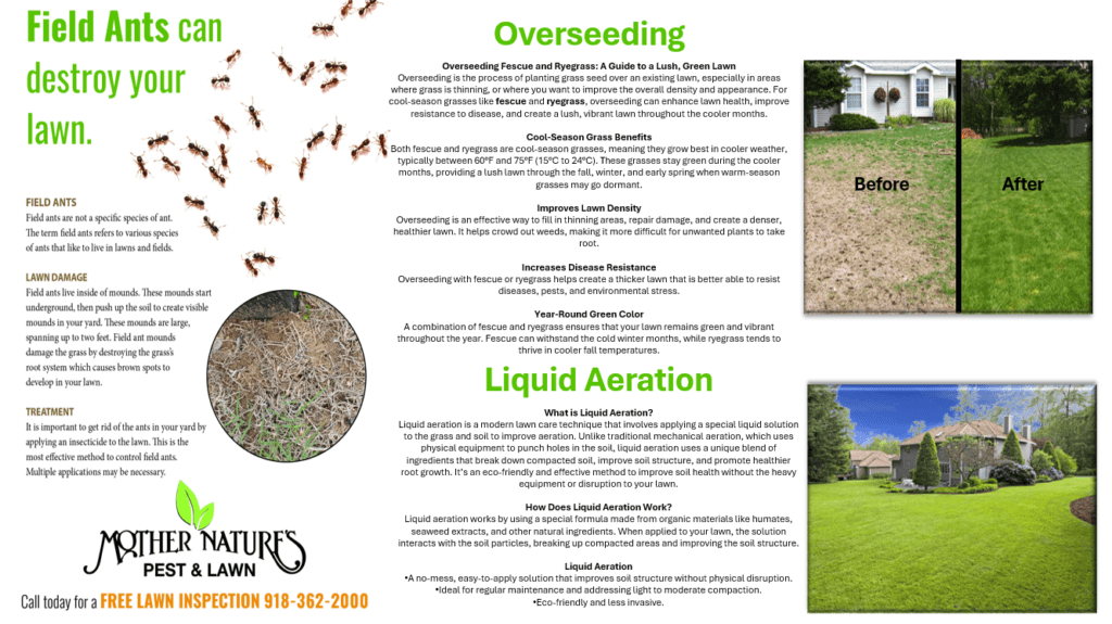 A lawn care brochure highlights field ants, overseeding, and liquid aeration with images of ants, a lush green lawn, and a before-and-after photo showing improvement. The Mother Nature’s Pest & Lawn logo appears below, promoting the best lawn care in Oklahoma.